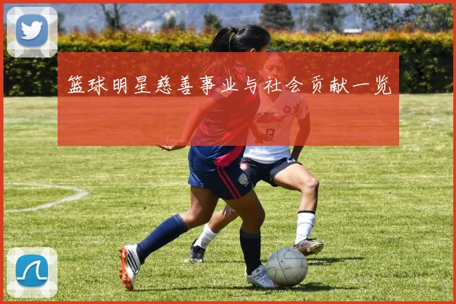 篮球明星慈善事业与社会贡献一览
