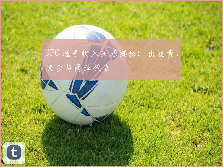 UFC 选手收入来源揭秘:出场费、奖金与商业代言